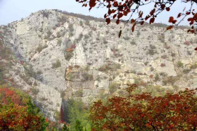 昌平公园的风景,北京昌平滨河免费公园