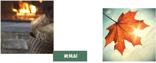 一号难求的名医专家,名医一号难求免费坐诊