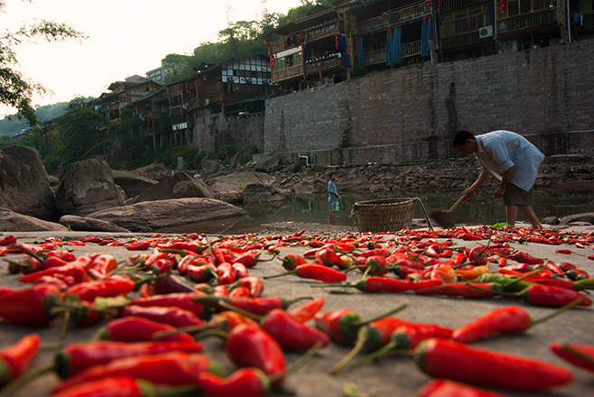 云贵川三省的人为啥喜欢吃辣椒,湘鄂赣三省交界处都爱吃辣