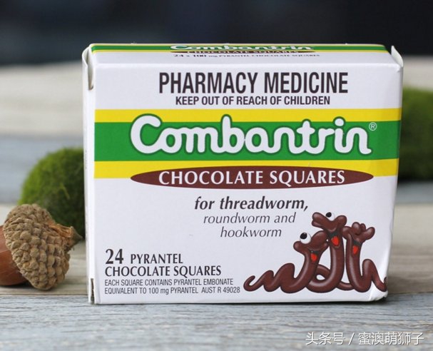 澳洲巧克力安全吗,澳洲巧克力关注事项