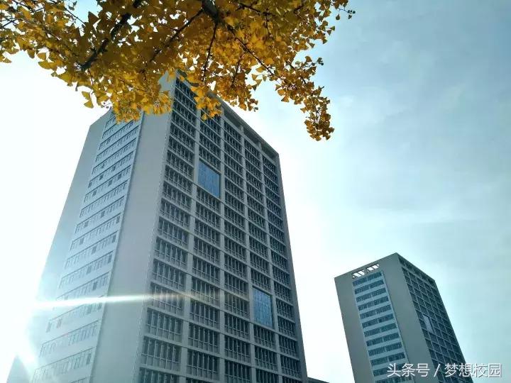 甘肃农业大学宣传片完整版,甘肃农业大学校园风景视频