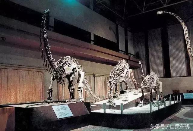 自贡市2022年重大项目有哪些,2024自贡开工项目