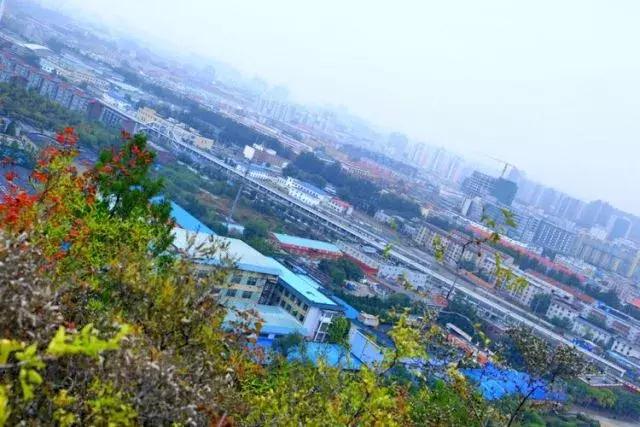 昌平公园的风景,北京昌平滨河免费公园