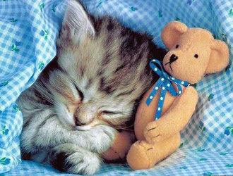 你身上的香水味,消除家里宠物味道熏香