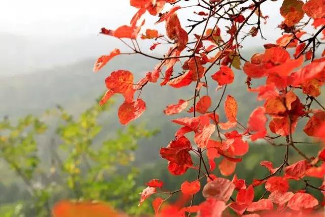 昌平公园的风景,北京昌平滨河免费公园