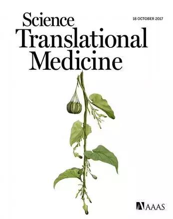 含马兜铃酸的中成药或中草药,108种含马兜铃酸的中成药