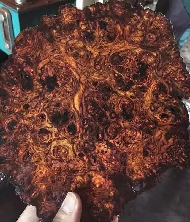 黄花梨怎么鉴定真假图解,海南黄花梨的鉴定方法和真假对比