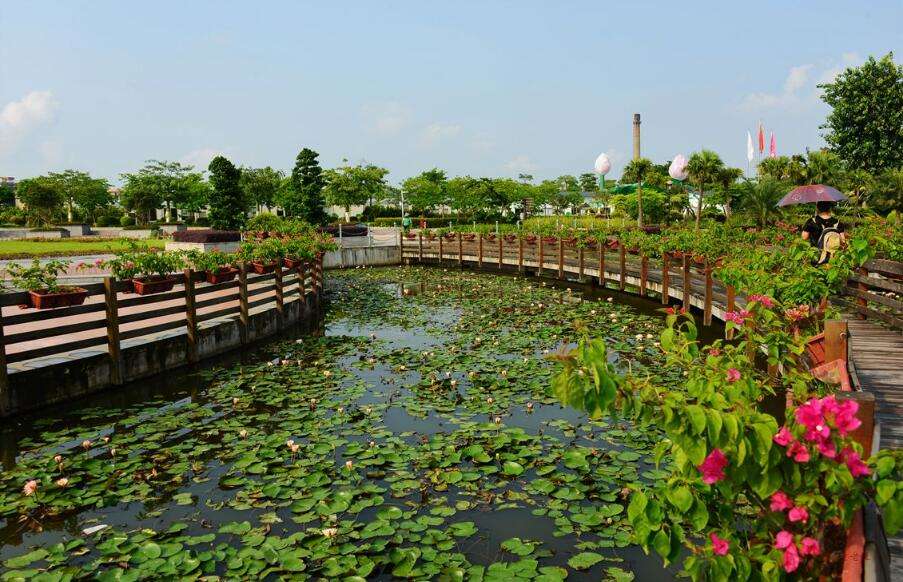 超强攻略广州长隆vs珠海长隆,长隆攻略最佳路线万圣节