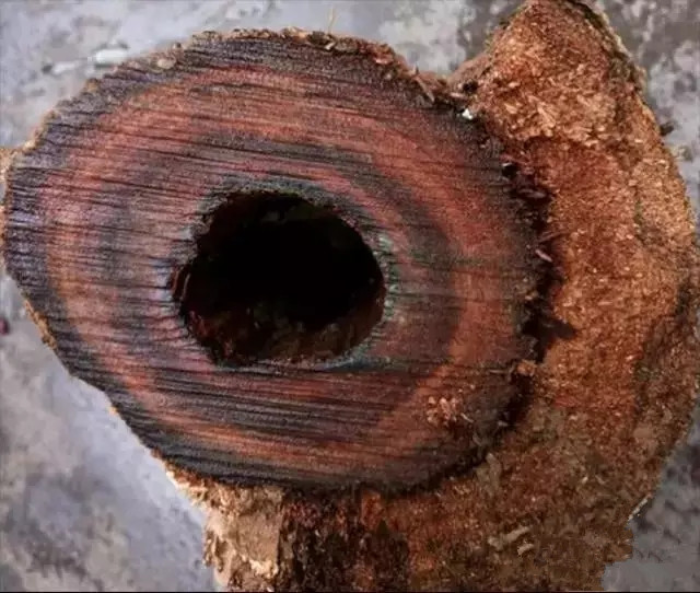 黄花梨怎么鉴定真假图解,海南黄花梨的鉴定方法和真假对比