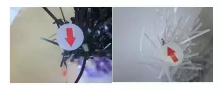 圣诞快到了要什么礼物,圣诞节什么时候开始准备圣诞树