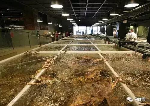 超市水产经营技巧,超市里的水产