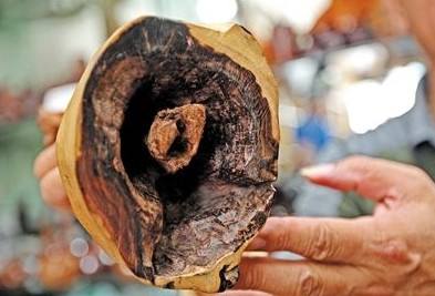 黄花梨怎么鉴定真假图解,海南黄花梨的鉴定方法和真假对比