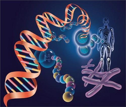 哪种染色体异常很可怕,染色体异常是怎么回事啊