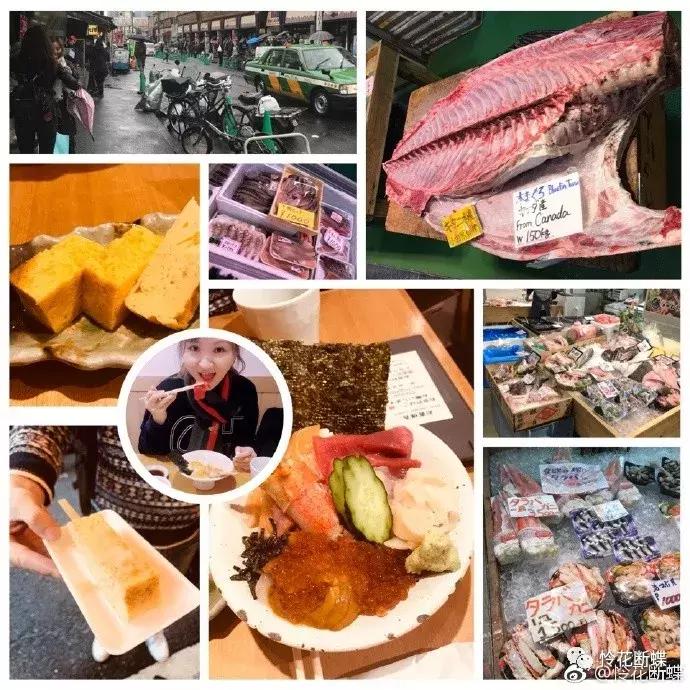 东京旅游购物攻略自由行,东京亲子游自由行攻略