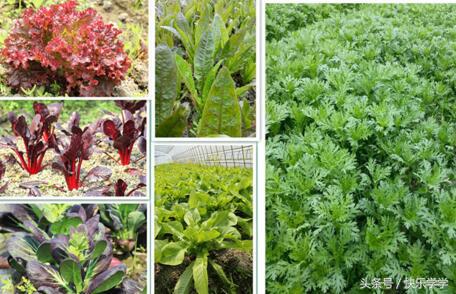 上海周边农家乐二日游包吃包住,上海周边的农家乐推荐