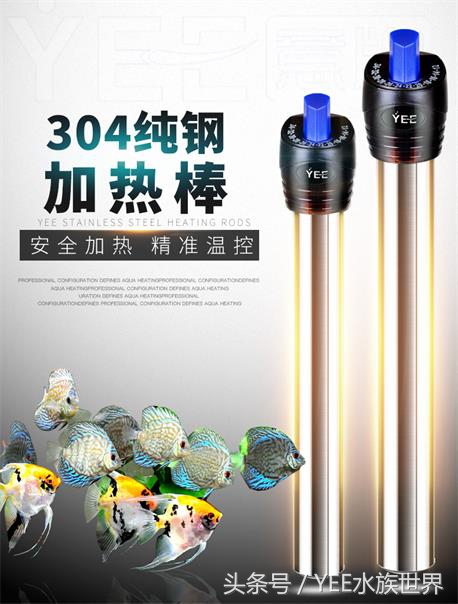 冬天鱼缸最便宜方便的加温方法,鱼缸养鱼水温怎么控制