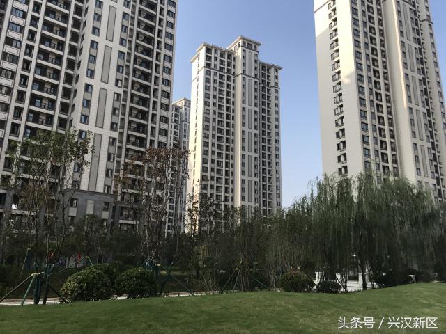 十张图让你看清,十张让你感动的图片