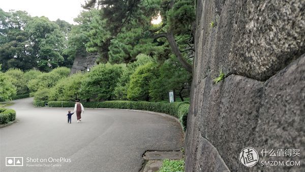 十一假期去日本,十一带着父母旅游攻略