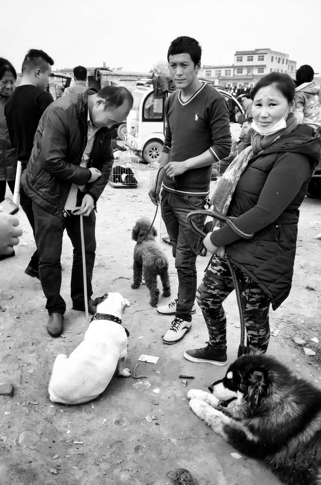 灞桥集市百态,灞桥人像写真