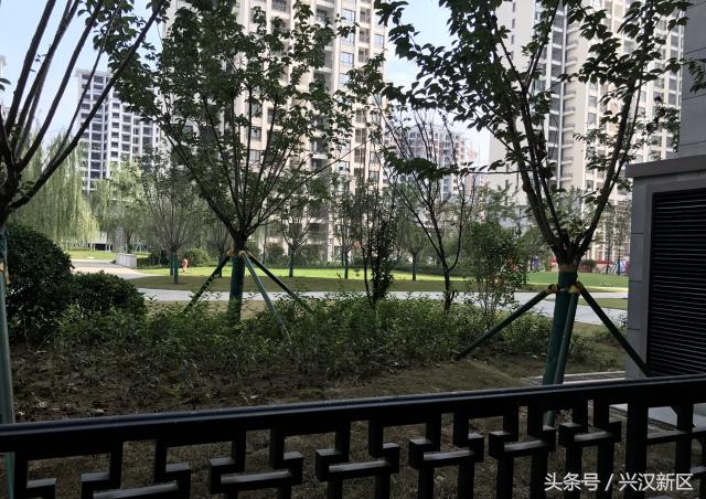 十张图让你看清,十张让你感动的图片