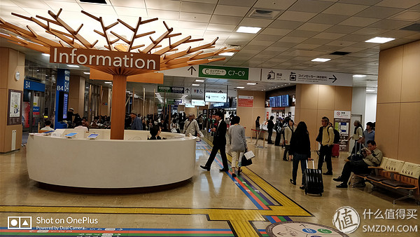 十一假期去日本,十一带着父母旅游攻略