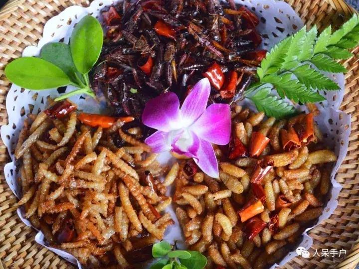 奇特的昆虫美食,史上最恶心的昆虫美食