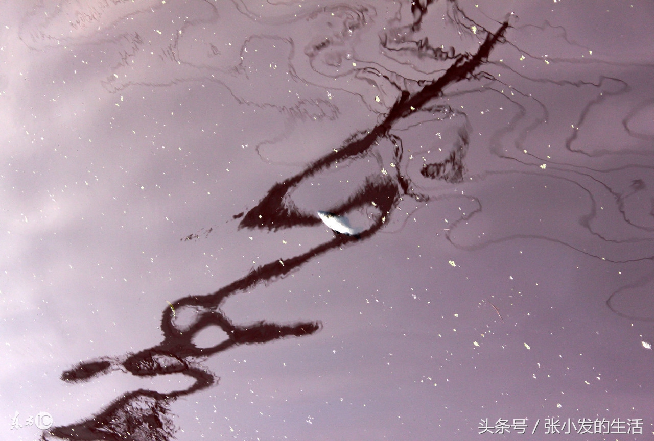 常见中毒食品及预防控制措施,急性中毒的常见处理方法