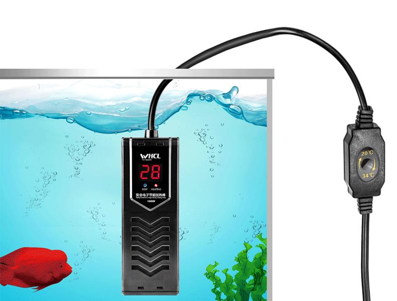 冬天鱼缸最便宜方便的加温方法,鱼缸养鱼水温怎么控制