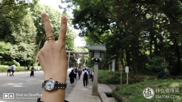 十一假期去日本,十一带着父母旅游攻略