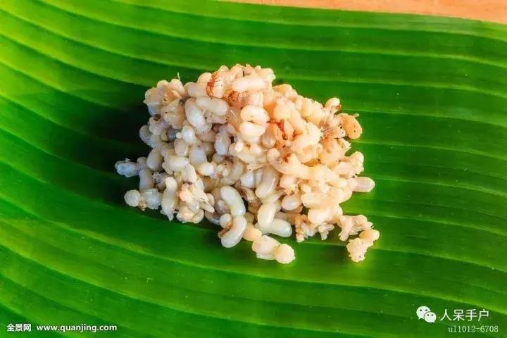 奇特的昆虫美食,史上最恶心的昆虫美食