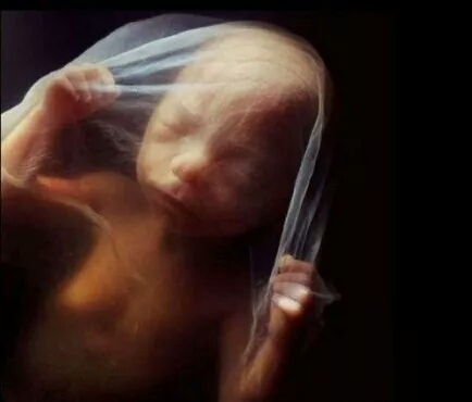 胎宝宝哪些信号是向妈妈求救,胎宝宝的求救信号当心胎停