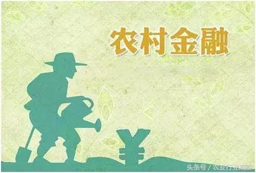 专访｜农发贷CEO杨世华：未来农村金融市场前景广阔！