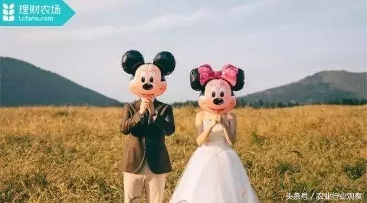 专访｜农发贷CEO杨世华：未来农村金融市场前景广阔！