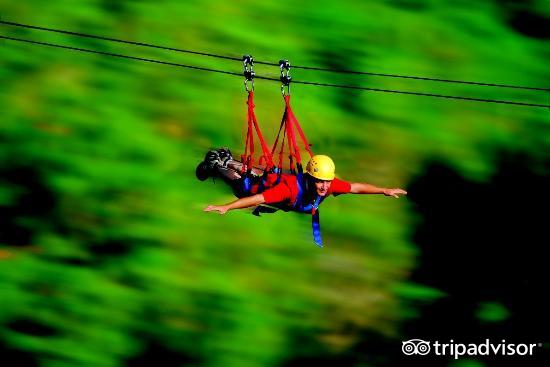 极限运动会导致肾上腺素飙升,极限运动可以促进肾上腺素分泌吗