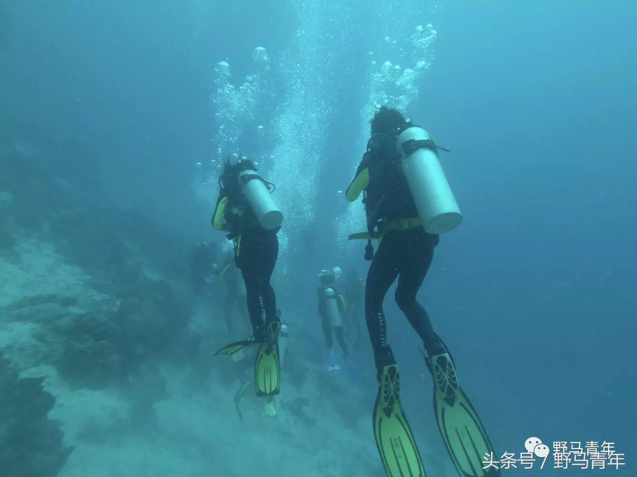 不会游泳可以学深潜嘛,不会游泳能学会潜水