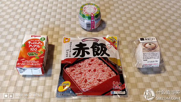 十一假期去日本,十一带着父母旅游攻略