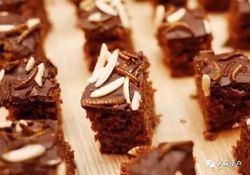 奇特的昆虫美食,史上最恶心的昆虫美食