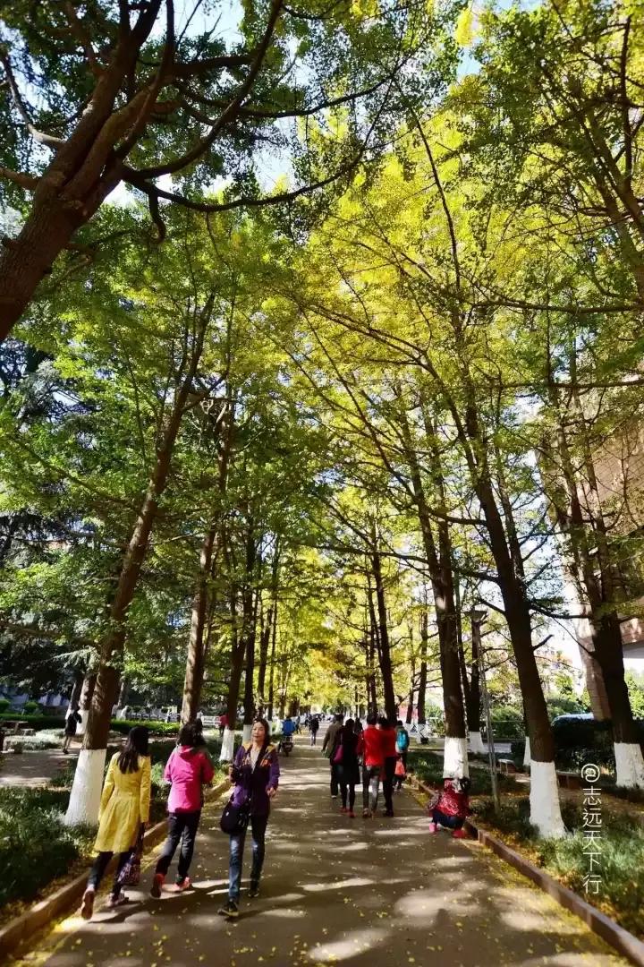 最美高校合集,最美211云大