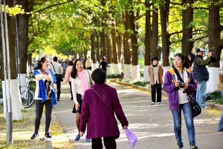 最美高校合集,最美211云大