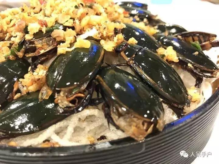 奇特的昆虫美食,史上最恶心的昆虫美食