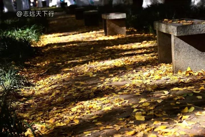 最美高校合集,最美211云大