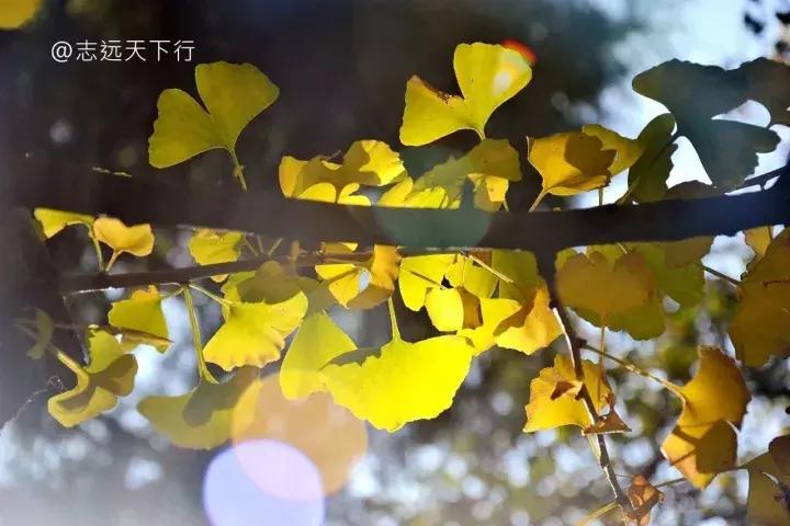 最美高校合集,最美211云大