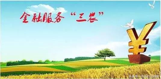 专访｜农发贷CEO杨世华：未来农村金融市场前景广阔！