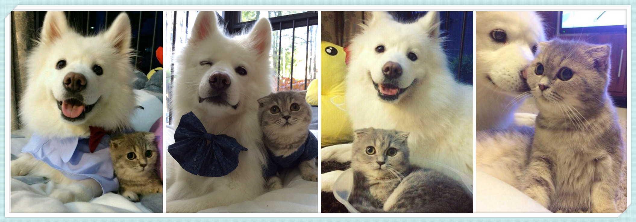 盘点那些不露脸长得很好看的网红,那些头像丑到爆的网红