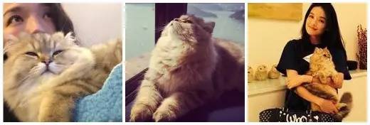 盘点那些不露脸长得很好看的网红,那些头像丑到爆的网红