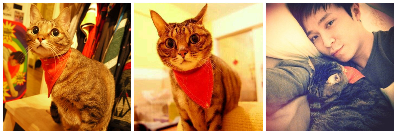 盘点那些不露脸长得很好看的网红,那些头像丑到爆的网红