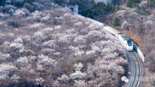 开往春天的列车图片唯美,开往春天的列车看图作文