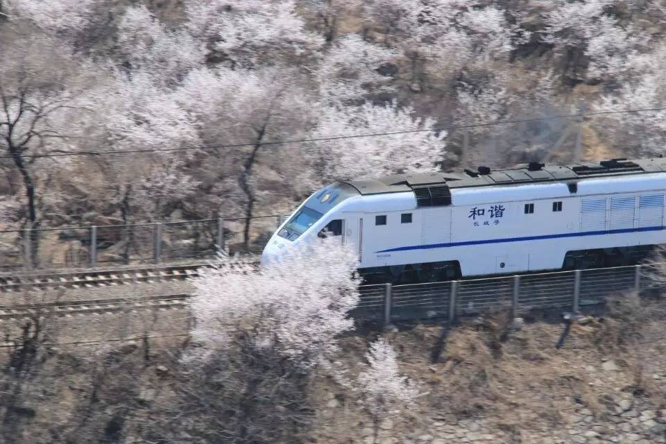 开往春天的列车图片唯美,开往春天的列车看图作文