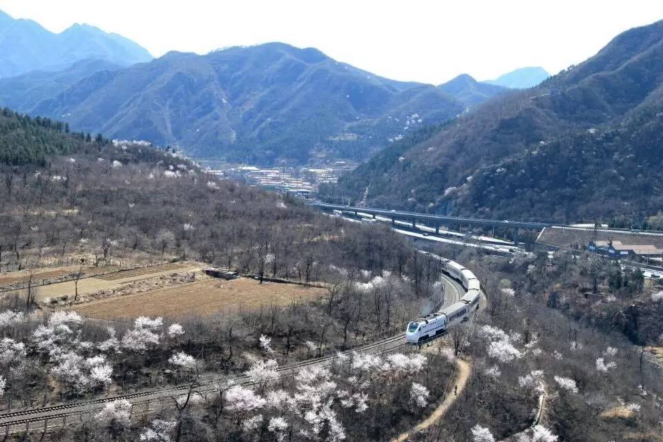 开往春天的列车图片唯美,开往春天的列车看图作文