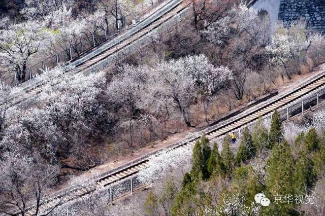 开往春天的列车图片唯美,开往春天的列车看图作文